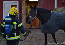 Ensikohtaaminen.