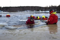 Pintapelastusta turvallisissa ja valvotuissa oloissa. Kuva: Kimmo Viitanen